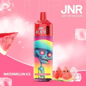 Get-JNR-Alien-10000-Puffs-Disposable-Vapes-in-Bulk-50-Delicious-Flavors-Rechargeable-0-2-5-Nicotine-2.webp