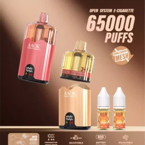 AAOK 65K Puffs Wholesale | Disposable Vape Supplier
