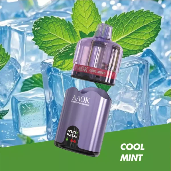 AAOK 65K Puffs Wholesale | Disposable Vape Supplier