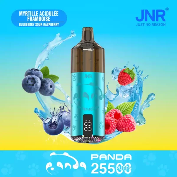 JNR Panda 25500 Puffs Wholesale | Disposable Vape Supplier
