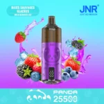 JNR Panda 25500 Puffs Wholesale | Disposable Vape Supplier