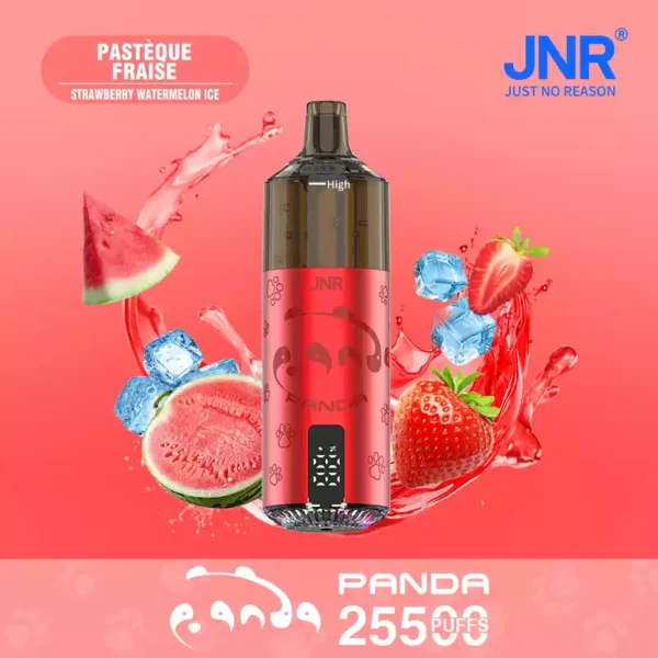 JNR Panda 25500 Puffs Wholesale | Disposable Vape Supplier