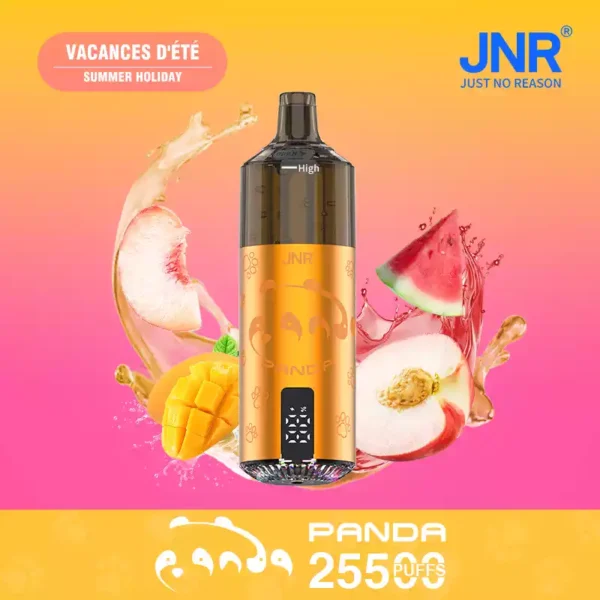 JNR Panda 25500 Puffs Wholesale | Disposable Vape Supplier