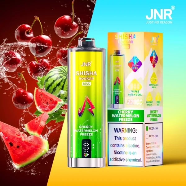 JNR Shisha Max 22000 Puffs Wholesale | Hookah Vape Supplier