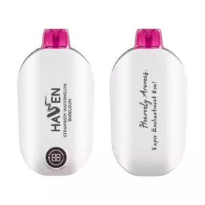 High-Quality-MYDE-Haven-BK123-Factory-Supply-Disposable-Vapes-Mesh-Coil-1.1Ω-Dual-Core-20mg-Nicotine-20.webp