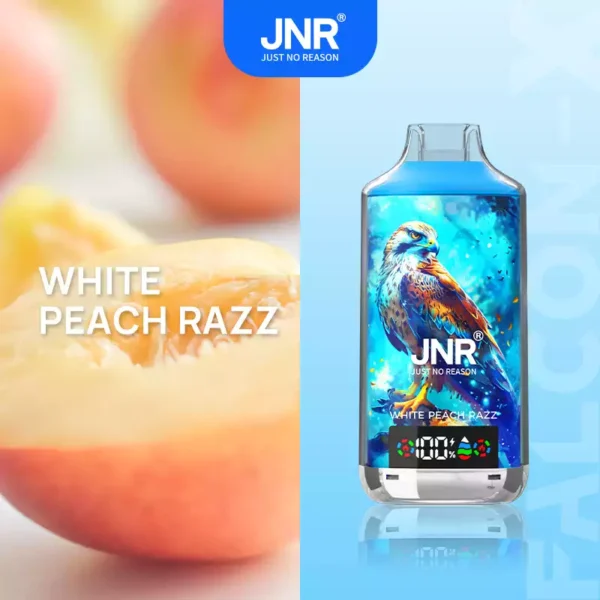 JNR Falcon X 18000 Puffs Wholesale | Disposable Vape Supplier