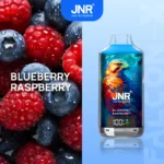 JNR Falcon X 18000 Puffs Wholesale | Disposable Vape Supplier