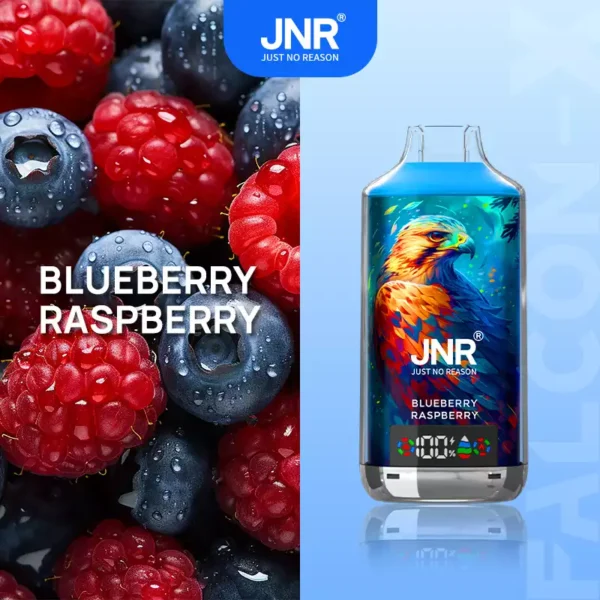 JNR Falcon X 18000 Puffs Wholesale | Disposable Vape Supplier