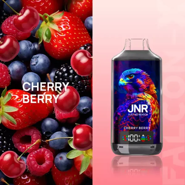 JNR Falcon X 18000 Puffs Wholesale | Disposable Vape Supplier