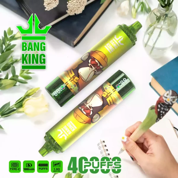 BANG 40000 Puffs Wholesale | Bang 40K Disposable Vape Supplier