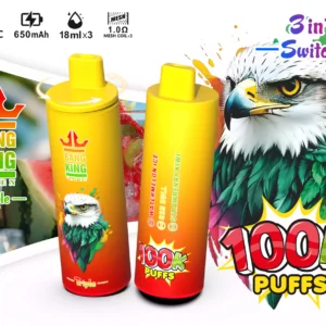 BANG KING 100K Wholesale | 100000 Puffs Disposable Vape Supplier