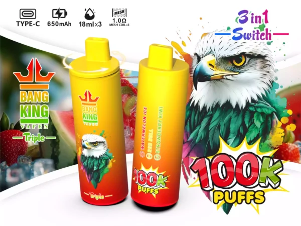 BANG KING 100K Wholesale | 100000 Puffs Disposable Vape Supplier