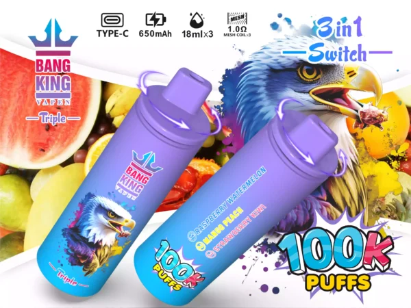 BANG KING 100K Wholesale | 100000 Puffs Disposable Vape Supplier