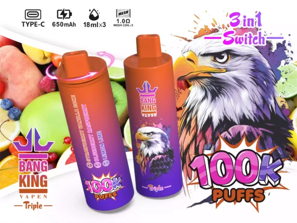 BANG KING 100K Wholesale | 100000 Puffs Disposable Vape Supplier