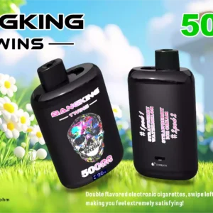 BANG KING TWINS 50K Wholesale | 50000 Puffs Dual Flavor Vape Supplier