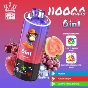 BANG LEADER 110K Wholesale | 110000 Puffs Disposable Vape Supplier
