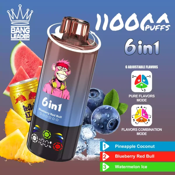 BANG LEADER 110K Wholesale | 110000 Puffs Disposable Vape Supplier