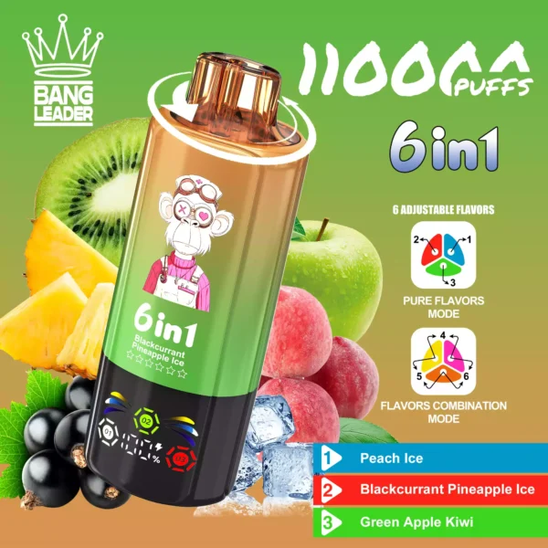 BANG LEADER 110K Wholesale | 110000 Puffs Disposable Vape Supplier