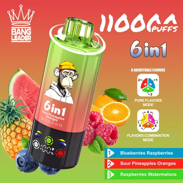 BANG LEADER 110K Wholesale | 110000 Puffs Disposable Vape Supplier