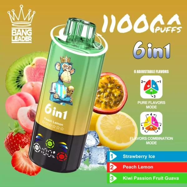 BANG LEADER 110K Wholesale | 110000 Puffs Disposable Vape Supplier