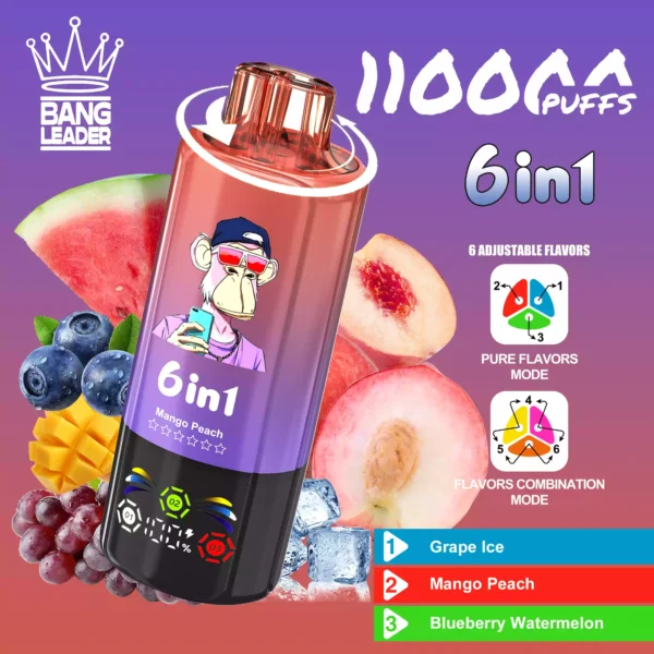 BANG LEADER 110K Wholesale | 110000 Puffs Disposable Vape Supplier