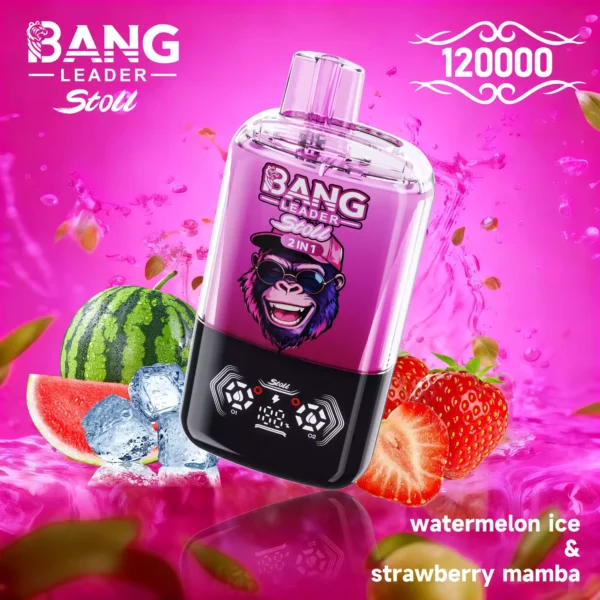 BANG LEADER 120K Wholesale | 120000 Puffs Disposable Vape Supplier