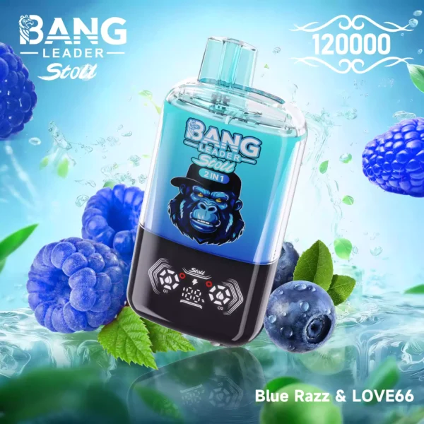 BANG LEADER 120K Wholesale | 120000 Puffs Disposable Vape Supplier