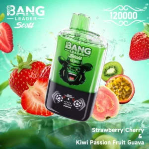 BANG LEADER 120K Puffs Disposable Vape Wholesale