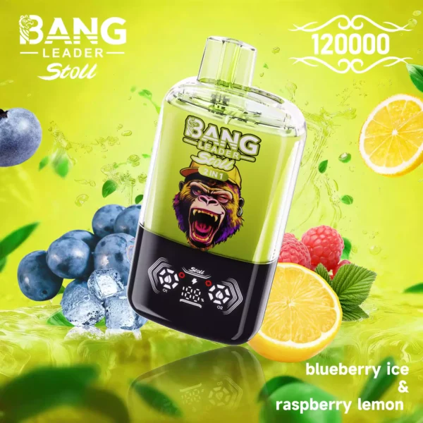 BANG LEADER 120K Wholesale | 120000 Puffs Disposable Vape Supplier
