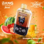 BANG LEADER 120K Wholesale | 120000 Puffs Disposable Vape Supplier