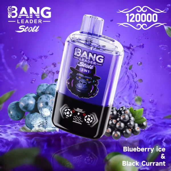 BANG LEADER 120K Wholesale | 120000 Puffs Disposable Vape Supplier