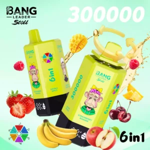 BANG LEADER 300K 6 IN 1 Wholesale | 300000 Puffs Vape Supplier