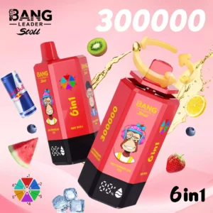 BANG LEADER 300K 6 IN 1 Puffs Disposable Vape Wholesale