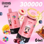 BANG LEADER 300K 6 IN 1 Wholesale | 300000 Puffs Vape Supplier