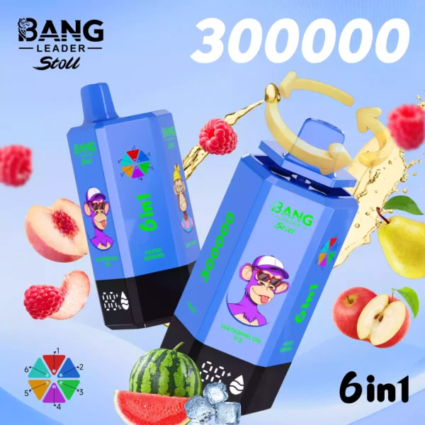 BANG LEADER 300K 6 IN 1 Wholesale | 300000 Puffs Vape Supplier