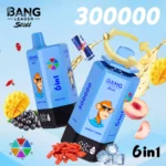 BANG LEADER 300K 6 IN 1 Wholesale | 300000 Puffs Vape Supplier