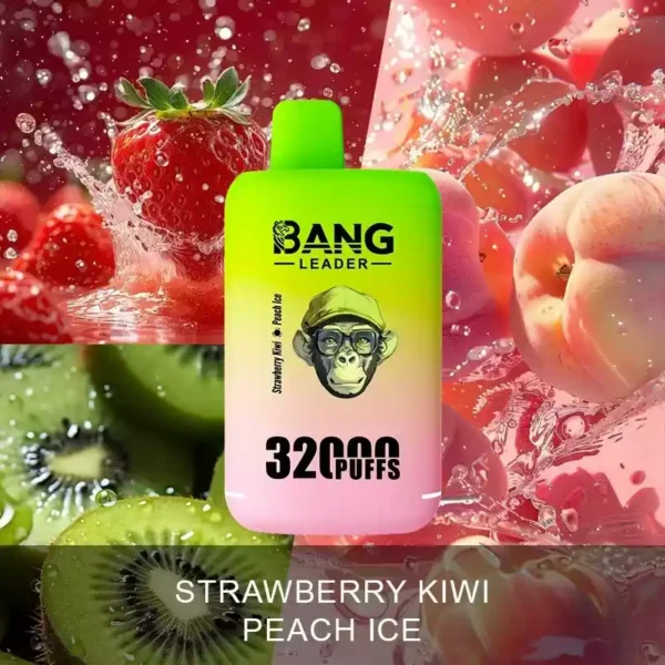 BANG LEADER 32K Wholesale | 32000 Puffs Disposable Vape Supplier