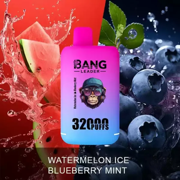 BANG LEADER 32K Wholesale | 32000 Puffs Disposable Vape Supplier