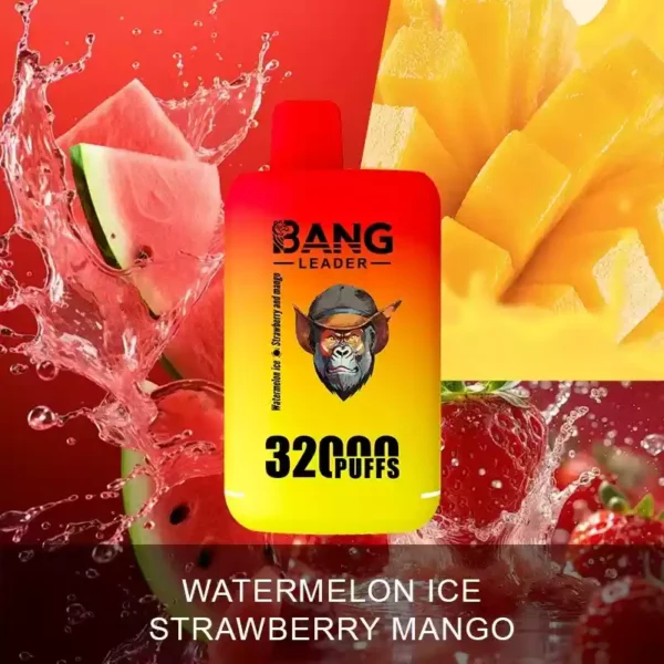 BANG LEADER 32K Wholesale | 32000 Puffs Disposable Vape Supplier
