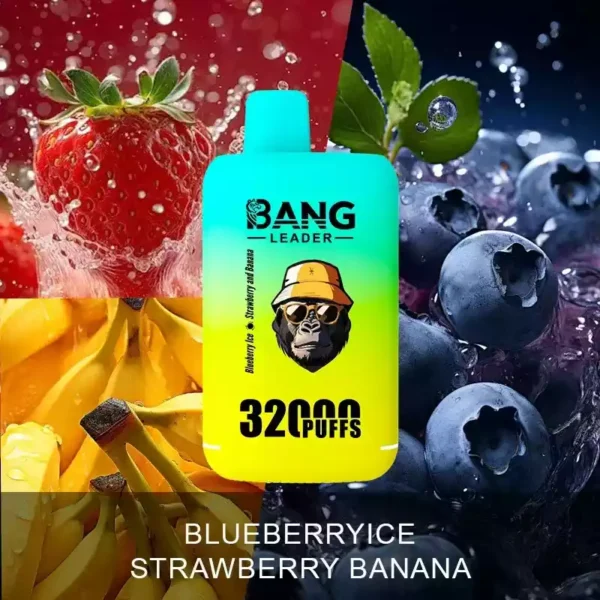 BANG LEADER 32K Wholesale | 32000 Puffs Disposable Vape Supplier
