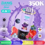 BANG LEADER 350K Wholesale | 350000 Puffs Disposable Vape Supplier