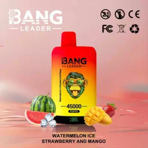 BANG LEADER 45K Wholesale | 45000 Puffs Disposable Vape Supplier