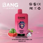 BANG LEADER 45K Wholesale | 45000 Puffs Disposable Vape Supplier