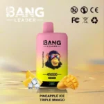 BANG LEADER 45K Wholesale | 45000 Puffs Disposable Vape Supplier