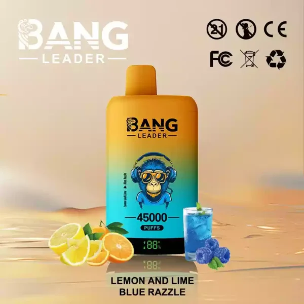 BANG LEADER 45K Wholesale | 45000 Puffs Disposable Vape Supplier