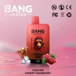 BANG LEADER 45K Wholesale | 45000 Puffs Disposable Vape Supplier