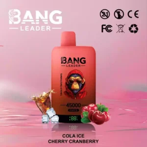 BANG LEADER 32K Wholesale | 32000 Puffs Disposable Vape Supplier