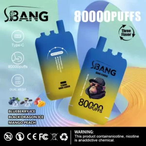 BANG LEADER 80K Puffs Disposable Vape Wholesale