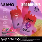 BANG LEADER 80K Wholesale | 80000 Puffs Disposable Vape Supplier