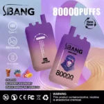 BANG LEADER 80K Wholesale | 80000 Puffs Disposable Vape Supplier
